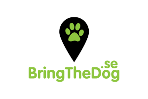 Bring The Dog