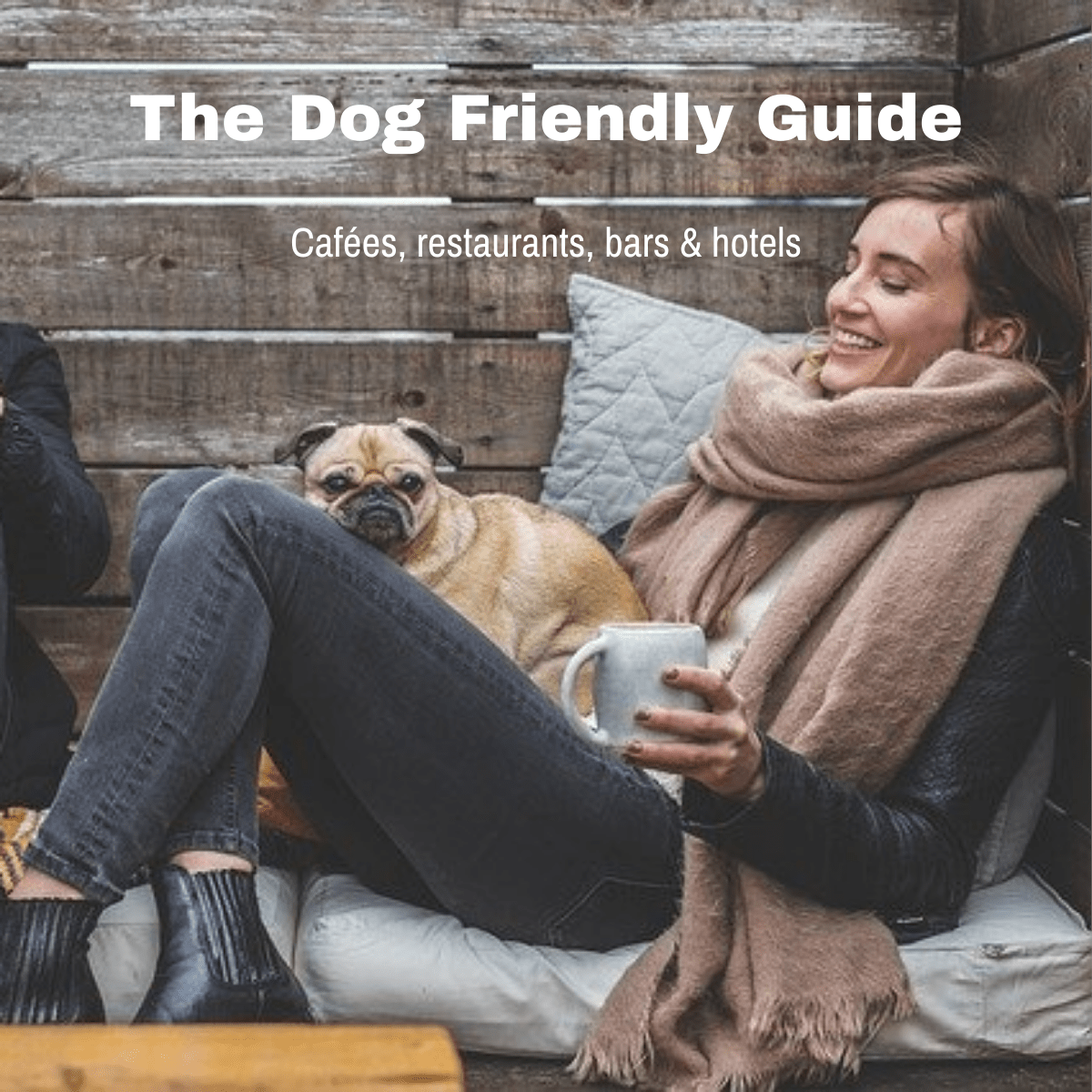 The Dog Friendly Guide